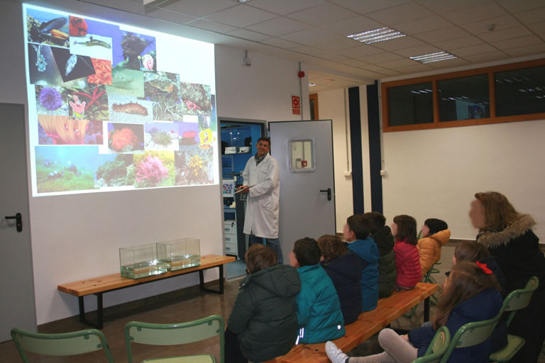 Visita colecciones Biología Animal y Aula del Mar